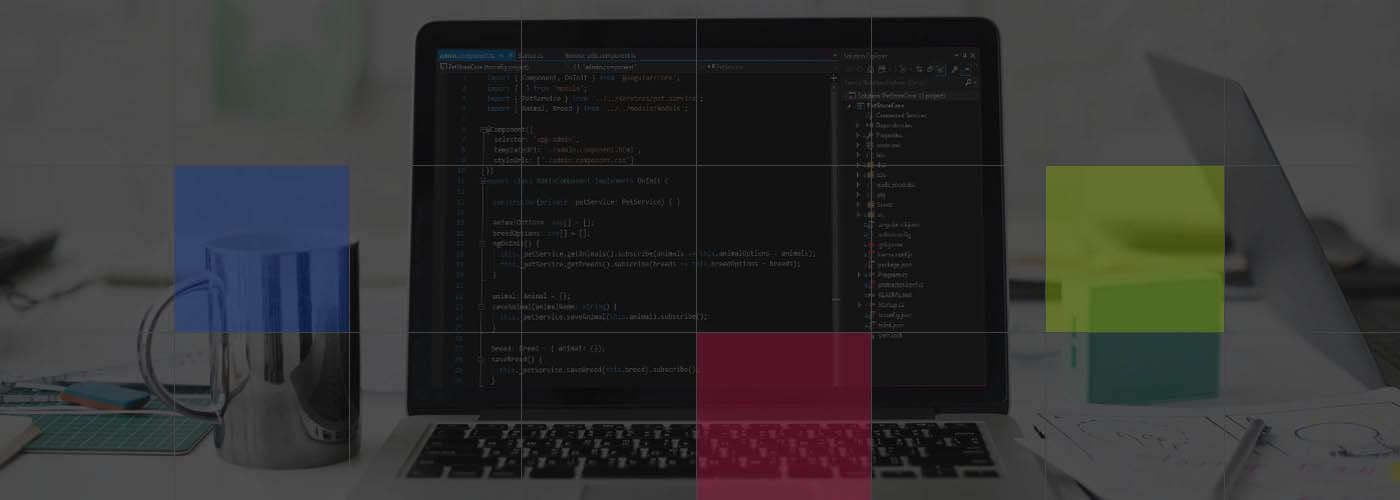 Asp .Net Development Company, Asp DotNet Development Services