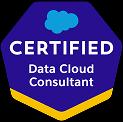 Data-Cloud-Consultant
