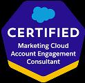 Marketing-Cloud-Account-Engagement-Consultant