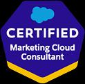 Marketing-Cloud-Consultant
