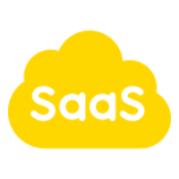 SaaS Consulting