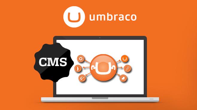 Tips to Consider for Umbraco CMS Development Services
