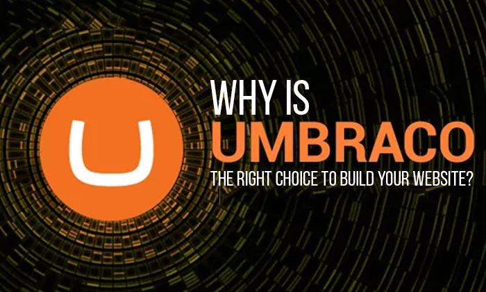 Why is Umbraco the Right Choice to Build Your Website?