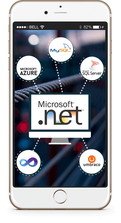 Custom .net Development Company