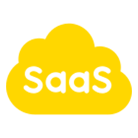SaaS Consulting
